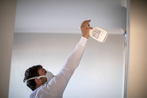 Best White Mold Remediation in Eleanor, WV