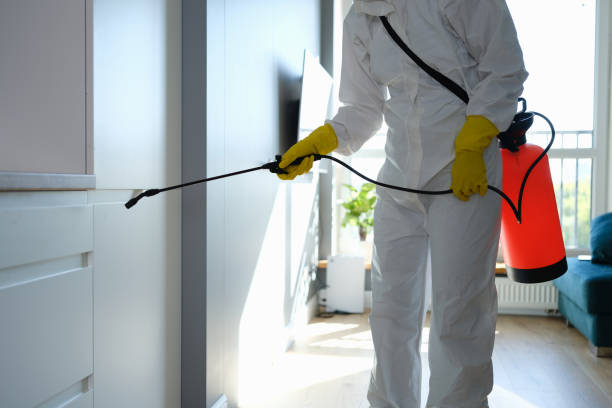 Best Emergency Mold Remediation in Eleanor, WV