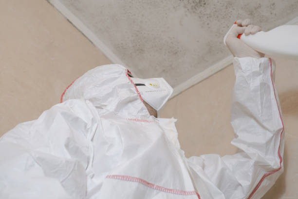 Best Residential Mold Remediation in Eleanor, WV
